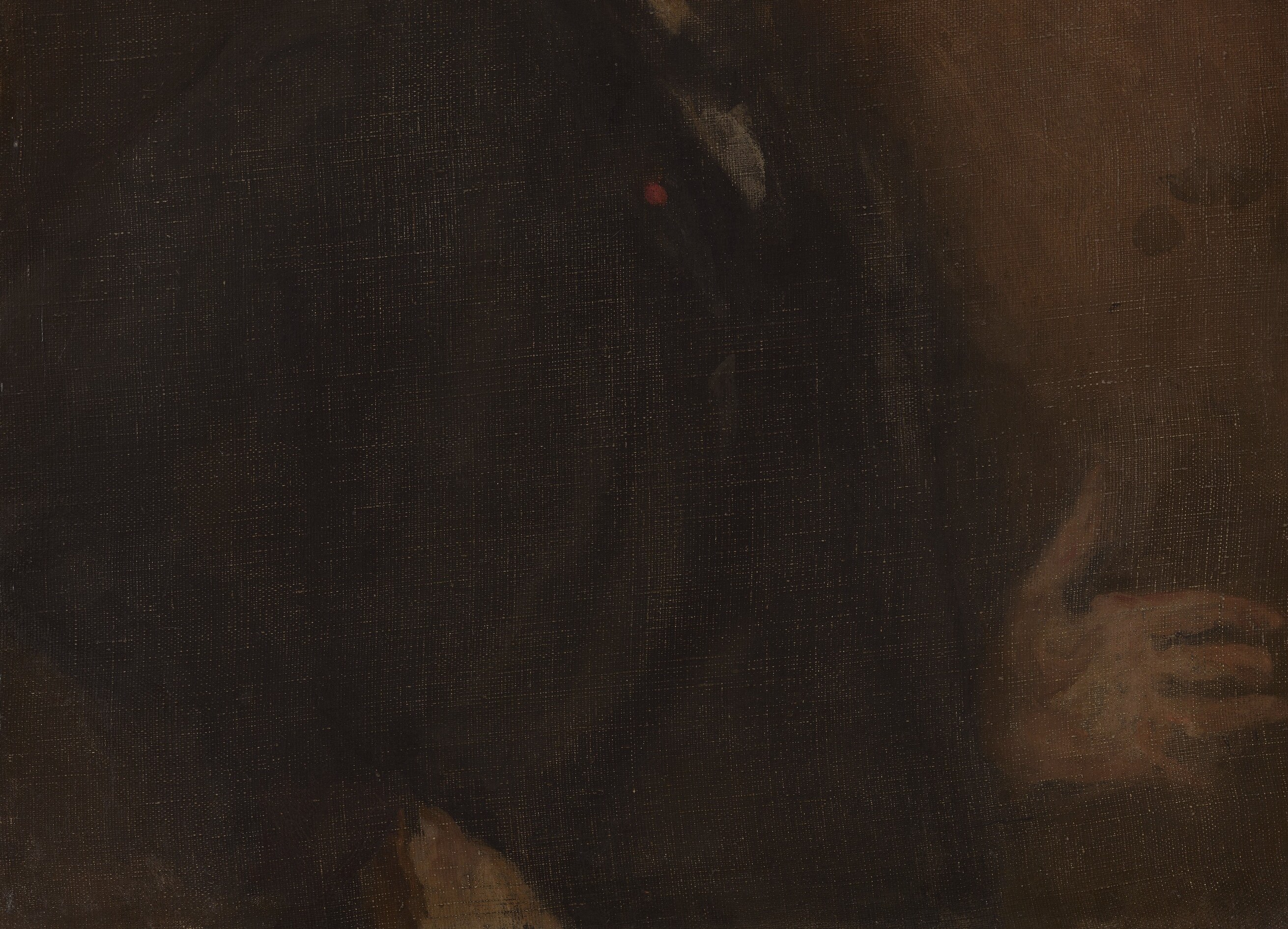His dark coat is the brown. It nearly dissolves into the void.
