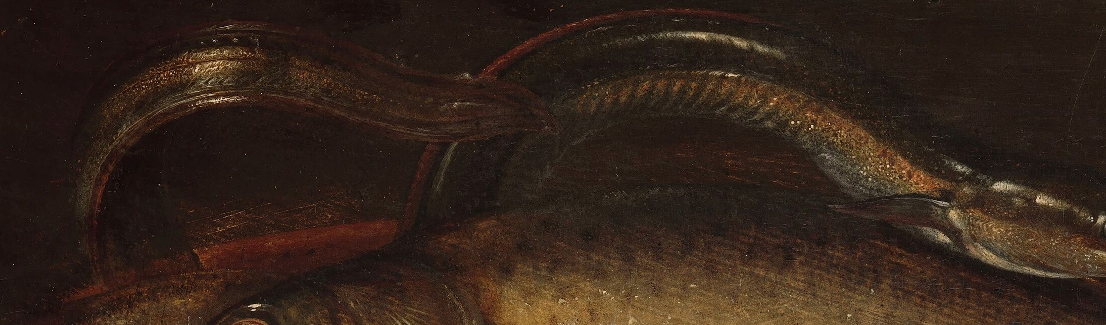 The dark background hides one coiled snake.