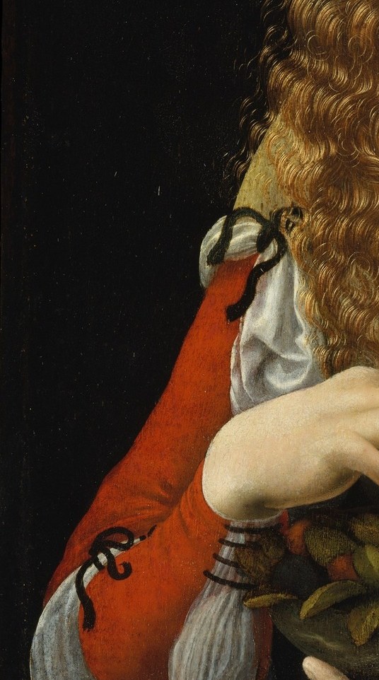 A saturated vermilion against the darker gown creates the painting's strongest color accent; the fabric shows fine highlights suggesting silk or fine wool , worth isolating as a color-and-texture detail