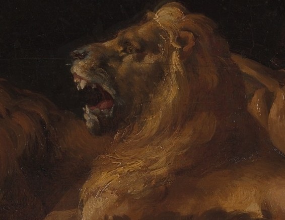 This roaring lion head shows raw power.