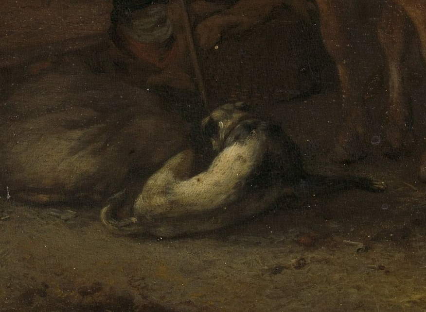 Look closely at the sleeping dog, a small touch of daily routine.