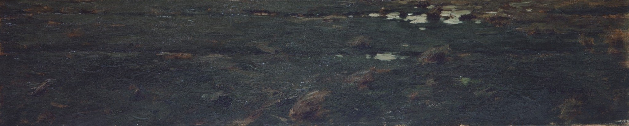 Look at the dark, textured foreground grass.