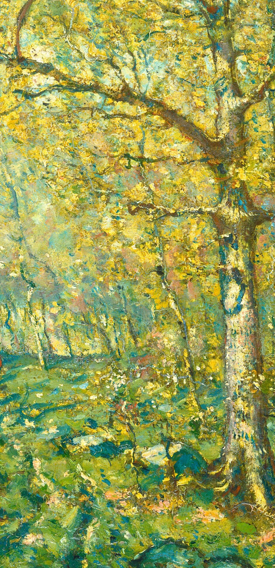 He brought the forest to life with delicate realism.