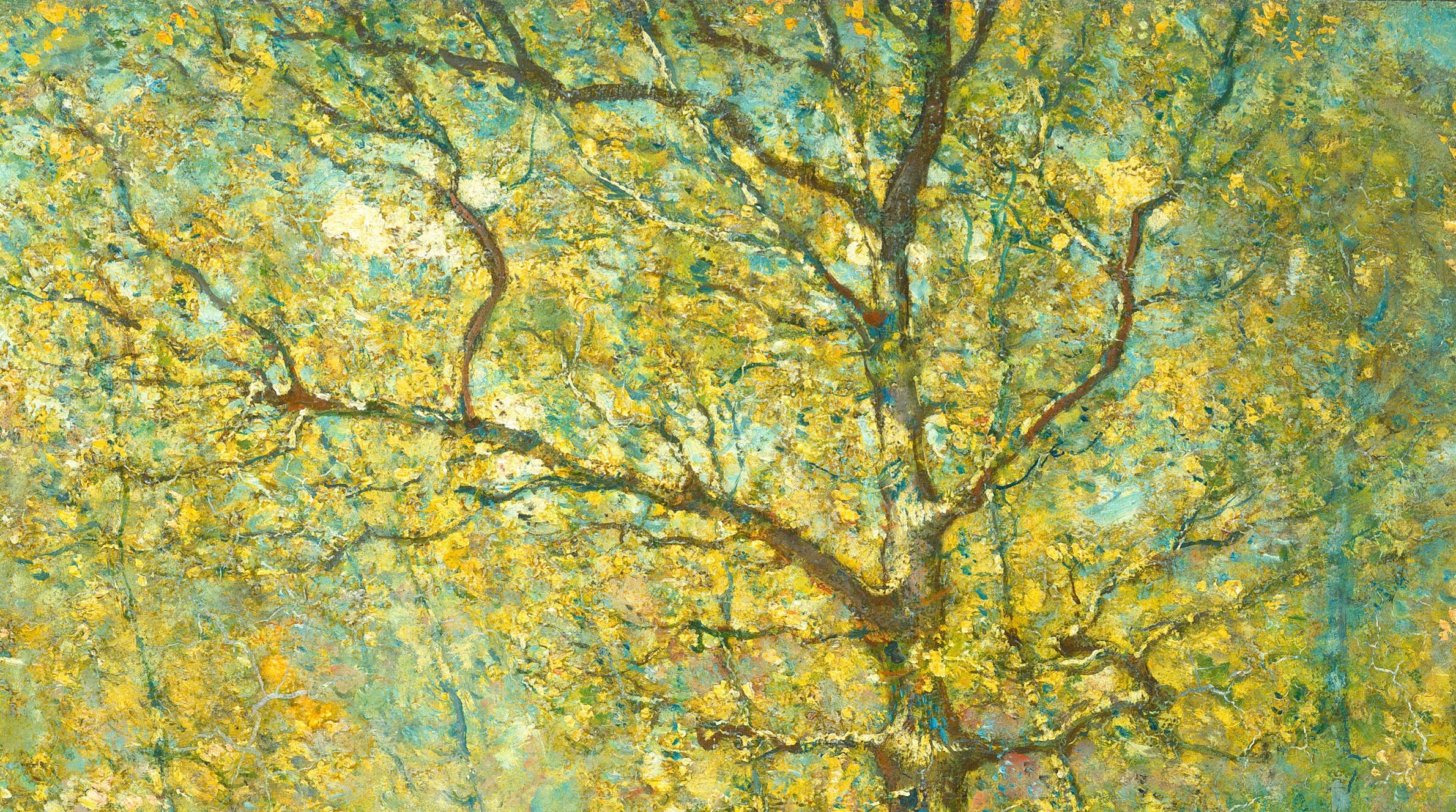He renders sunlight filtering through leaves.
