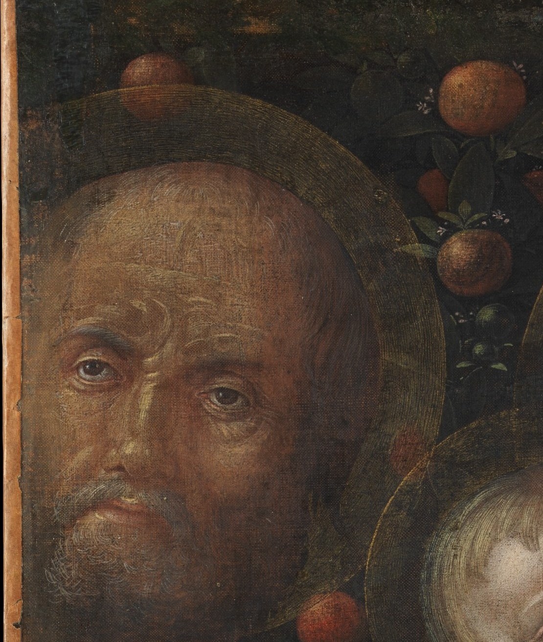 Deep wrinkles and a furrowed brow make Joseph the oldest and most weathered figure; his gaze is averted inward, suggesting contemplation rather than action , a common Mantegna device for secondary male saints.