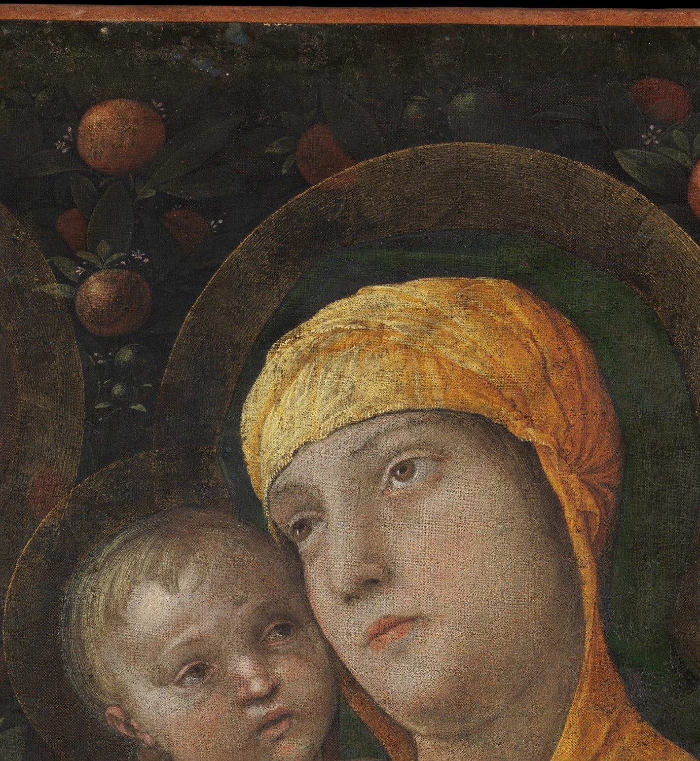 The saturated gold pigment , likely gold leaf or gold-tinted tempera , is Mantegna's most opulent surface passage and signals Mary's divine queenship even without a formal crown.