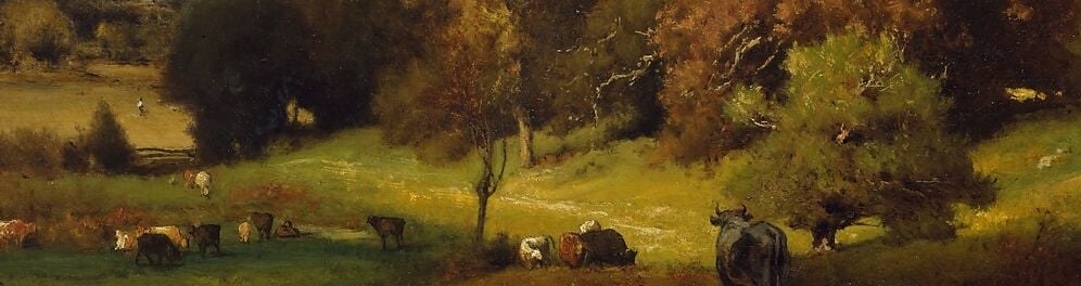 A golden meadow still catches the last warm light.