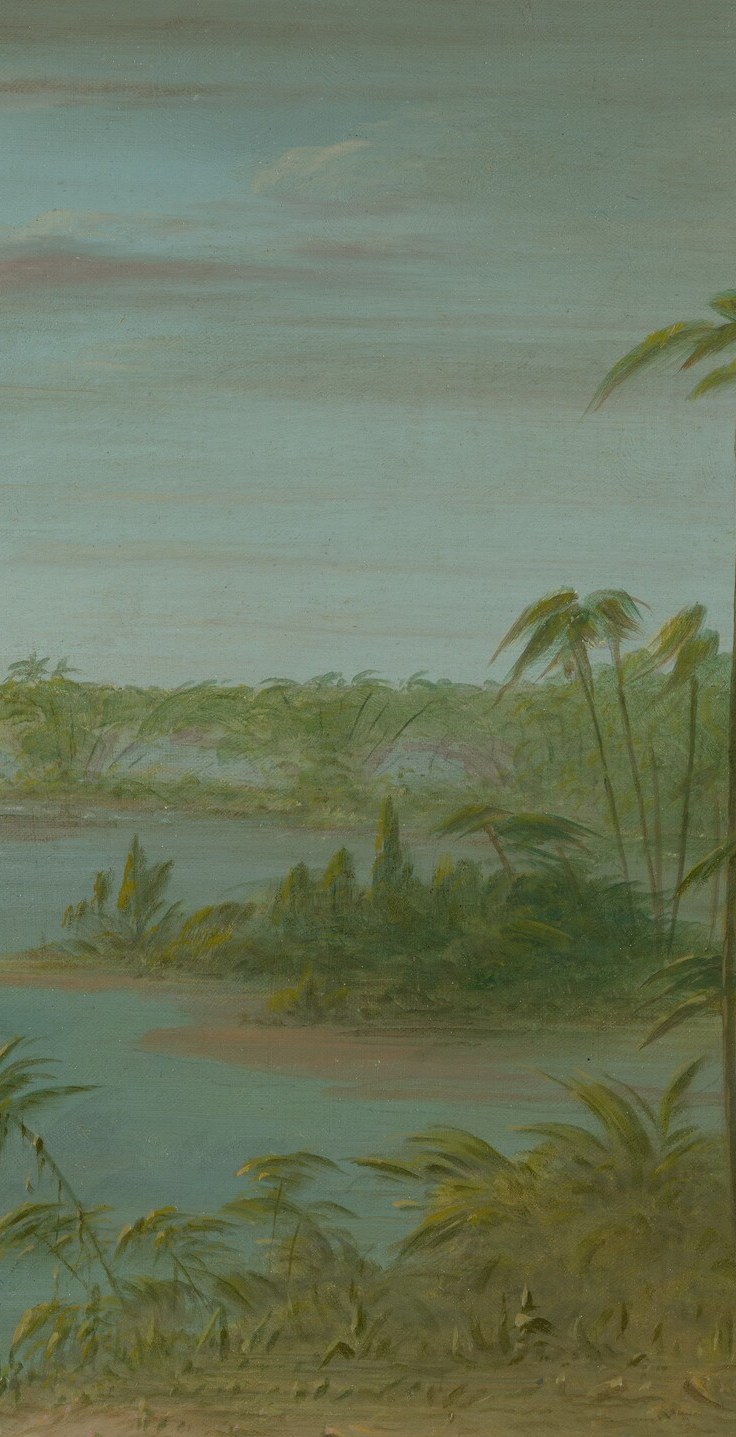 The Pont de Palmiers title element; the palm silhouette anchors the right composition and signals tropical South American geography