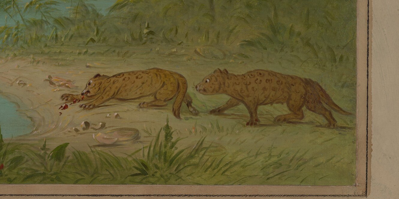 Two tigers, camouflaged, crouch at the water's edge.