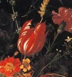 This wilting tulip is beauty that fades.
