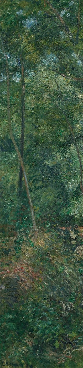 The most prominent vertical anchor of the composition; its lean and texture pull the eye deep into the forest, revealing Pissarro's interest in bare structure against lush green.