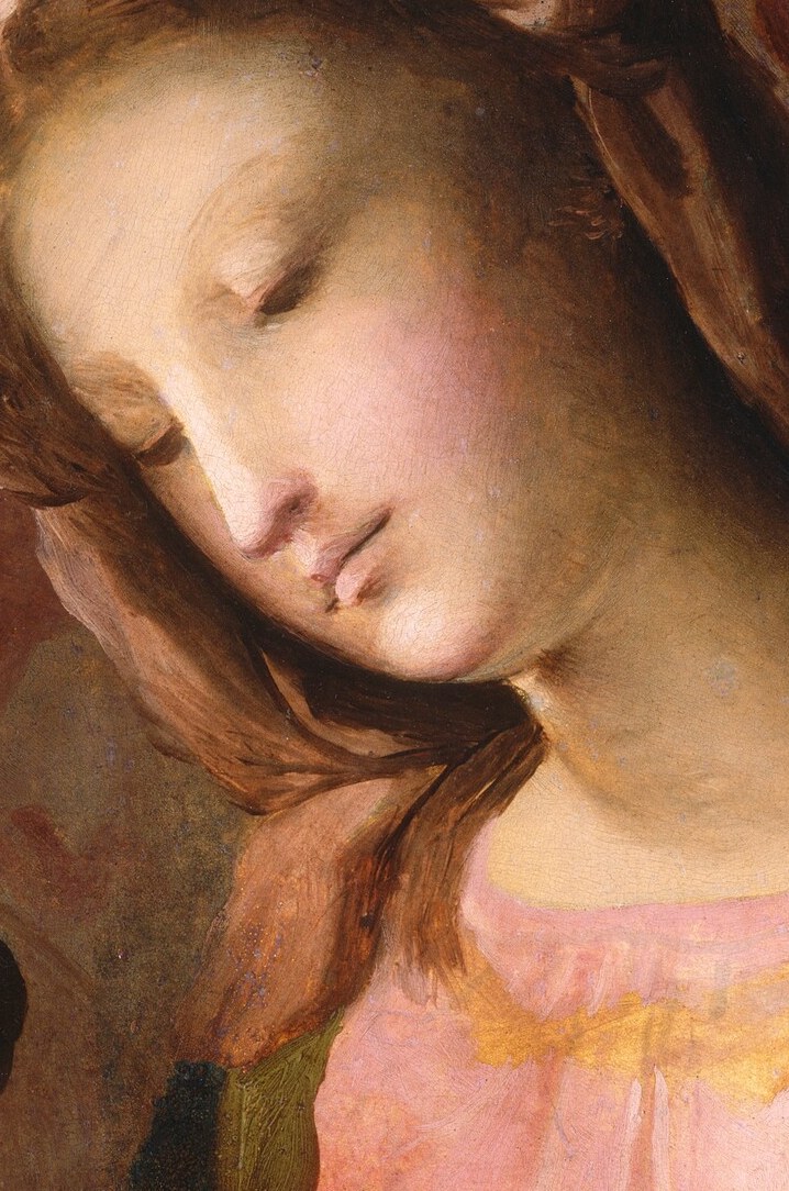 Her serene, closed eyes and gentle expression convey a sense of maternal love and quiet contemplation.