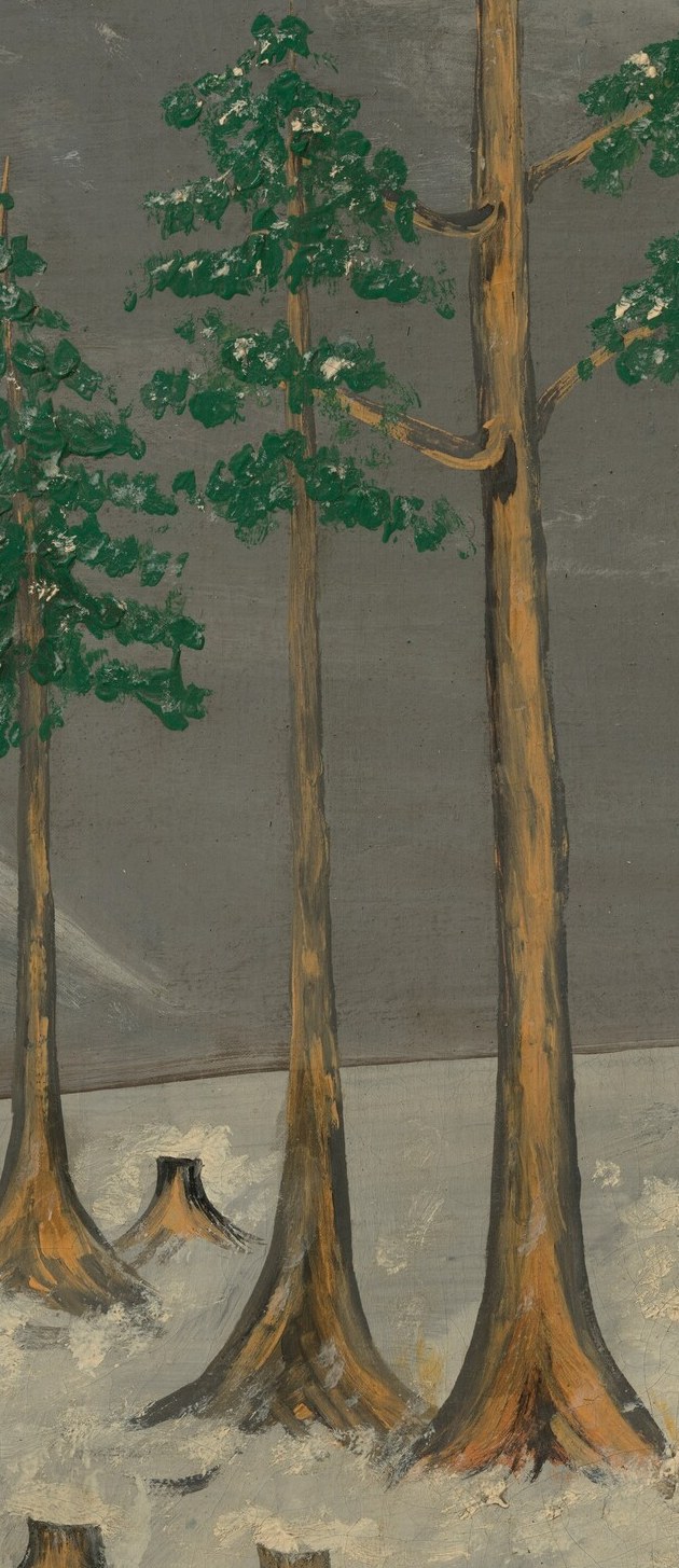 Their dark green color contrasts with the snow and sky, and their height emphasizes the vastness of the landscape.