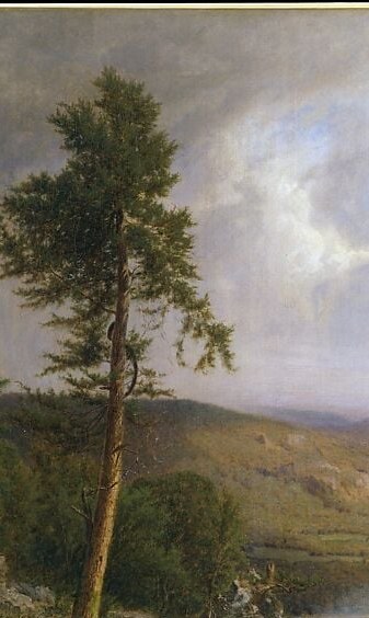 The compositional spine of the painting , its verticality pulls the eye upward while its roots lock the rocky foreground to the sky; silhouetted against the bright clouds it reads as a lone sentinel over the valley.