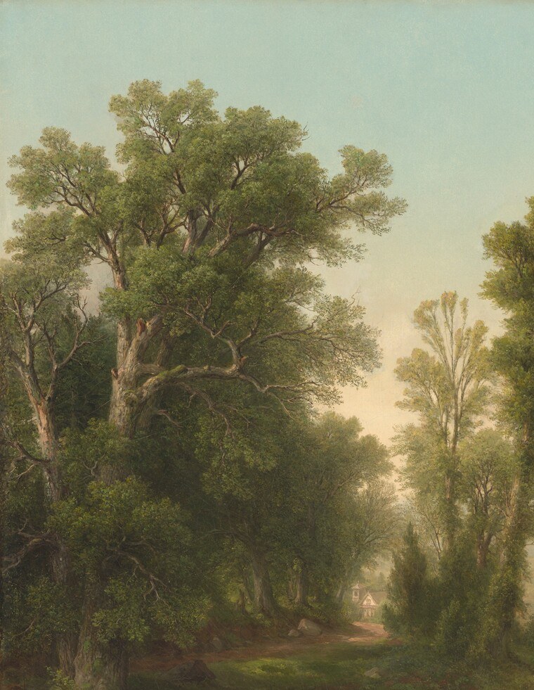 Durand's signature close-observation tree rendering , backlit canopy edges glow against the sky, each cloud of foliage individually built up; the compositional anchor and a showcase of his plein-air method.