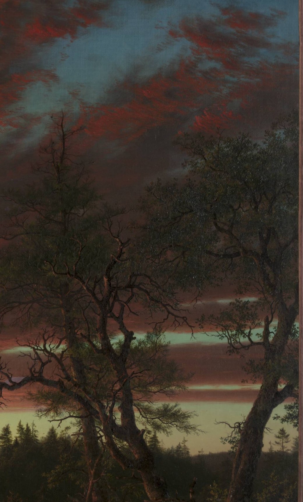 A dead tree stands against the dying light.
