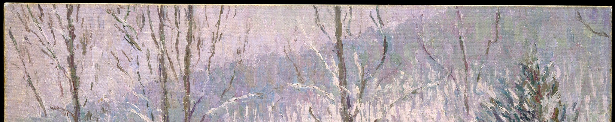 Snow is never just white. It catches every color in the sky.
