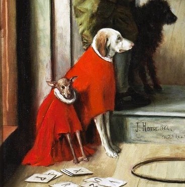 The dog's attire and placement suggest it is a pampered pet, adding to the sense of domestic comfort.