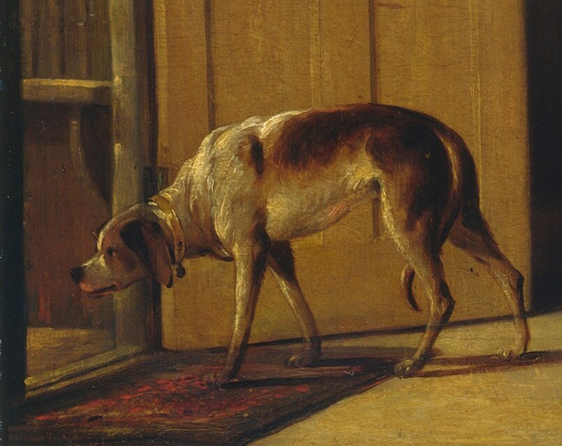 The dog's presence adds a touch of domesticity and life to the scene, its low posture suggesting it's observing or waiting.