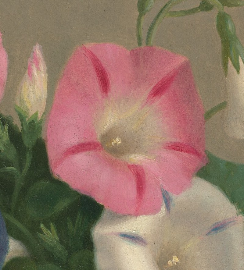 The subtle stripes on its petals add visual interest and depth.