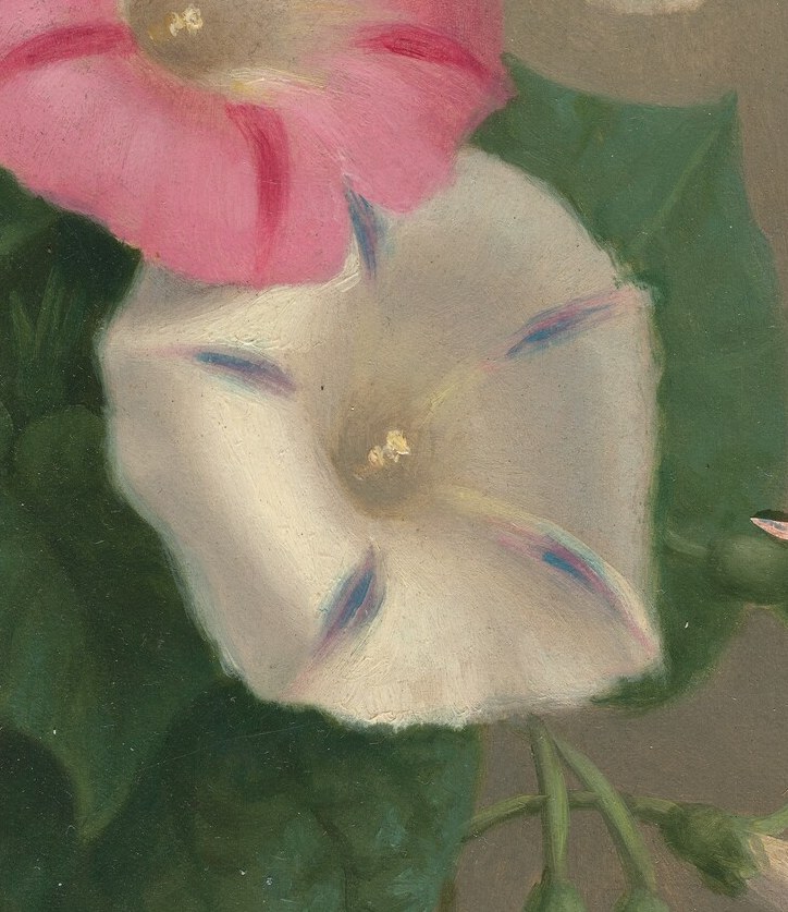 Her delicate brushwork shows each petal of the white morning glory.
