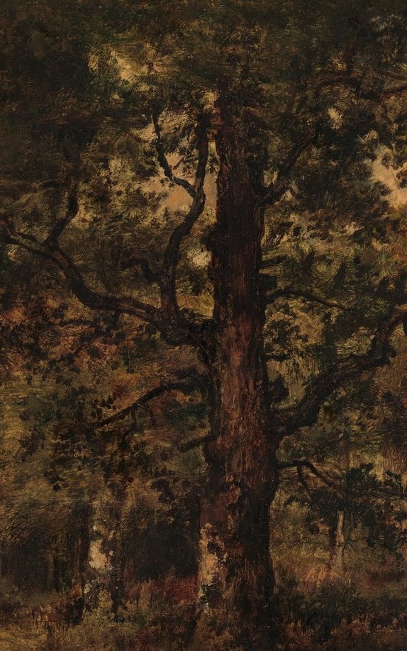 Its gnarled texture and scale suggest age and resilience, anchoring the composition.