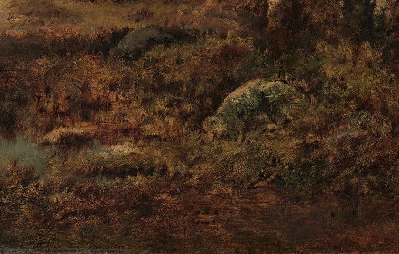 Notice the richly textured undergrowth.