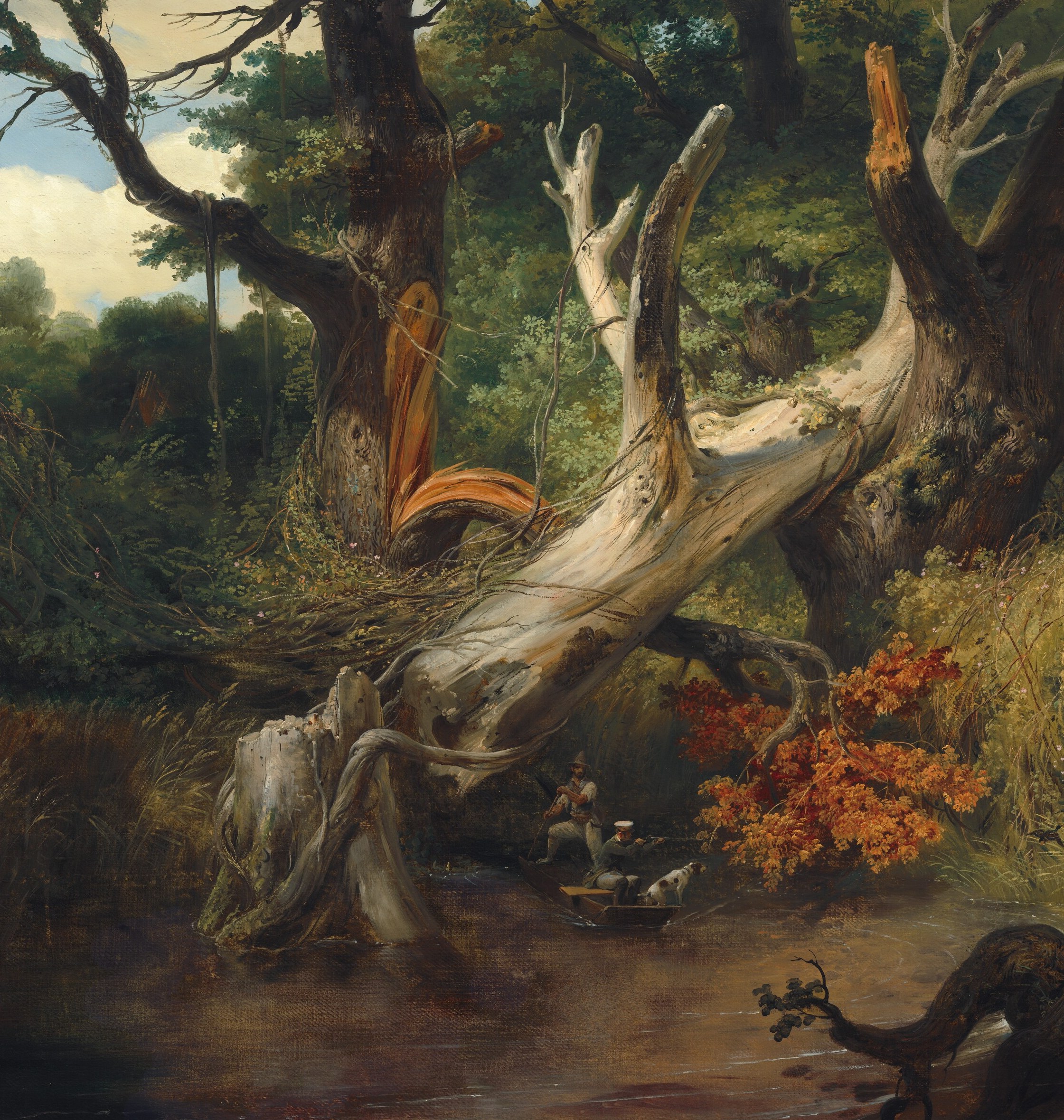 This enormous dead tree dominates the scene.