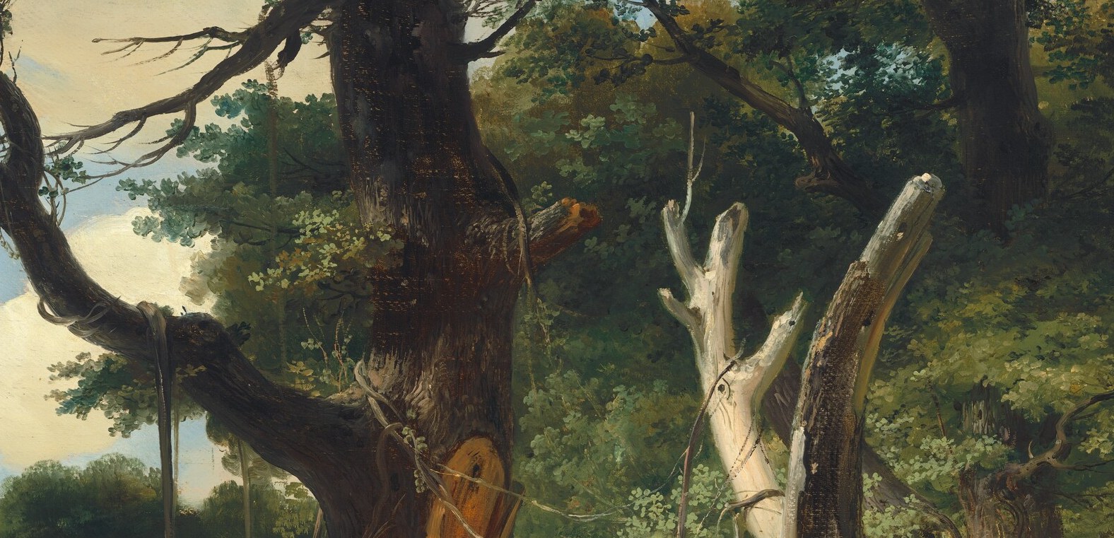 Its splintered heartwood catches the light, a technical showpiece.