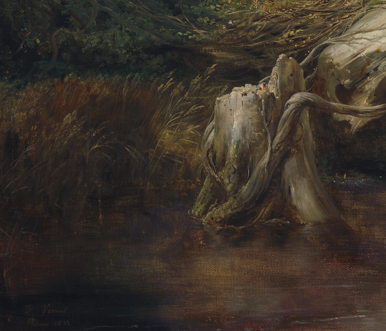 But look closely, hidden in the roots.