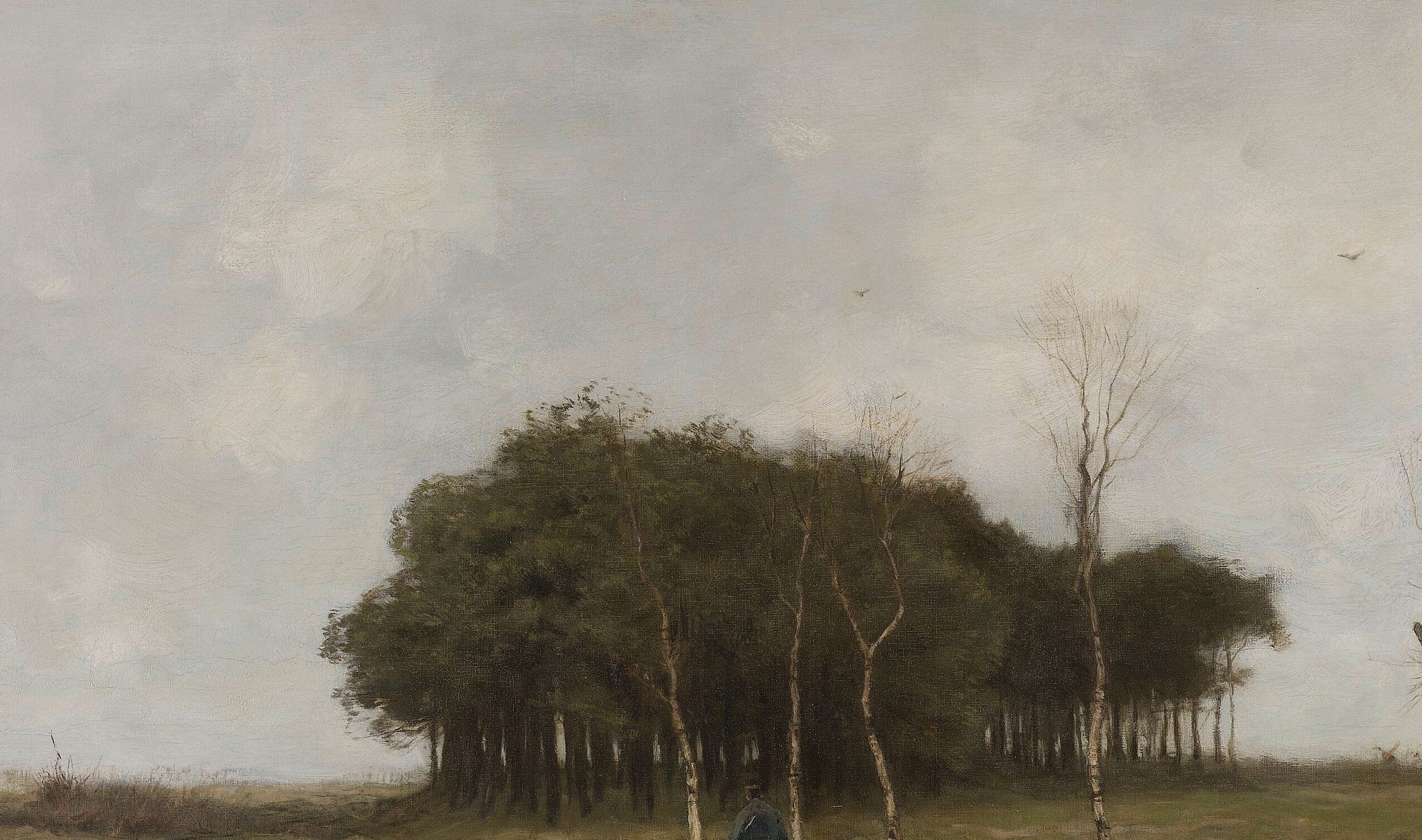 A solid dark wall of foliage that anchors the composition and creates the sense of shelter behind the exposed heath