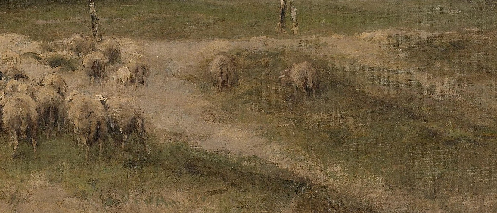 Look at the mid-distance. Not at the shepherd.