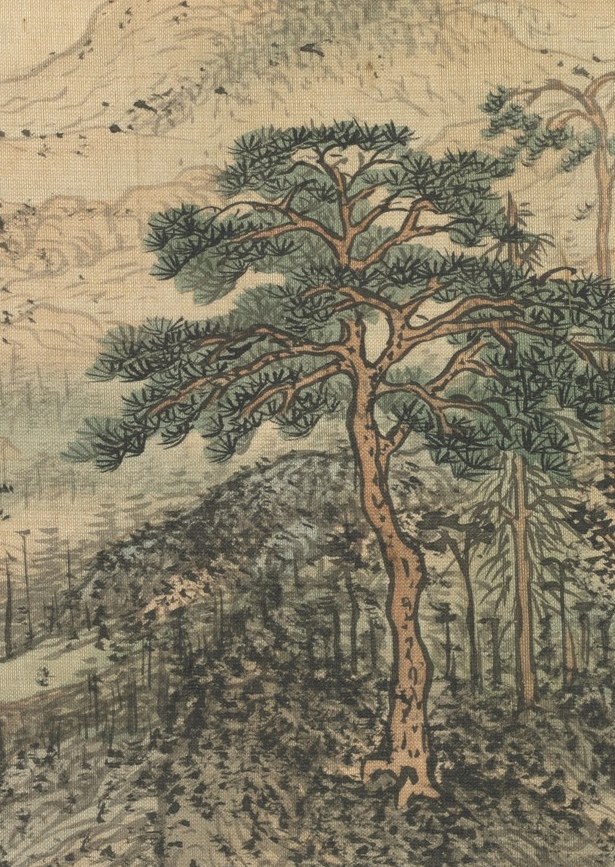 Its gnarled branches and dark needles create a focal point, suggesting resilience and longevity.