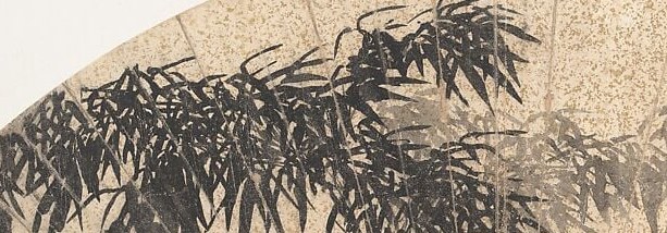 The delicate leaves appear heavy and wet, bowing in the rain.