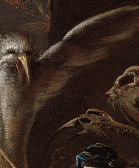 These bird monsters represent chaos and dark magic.