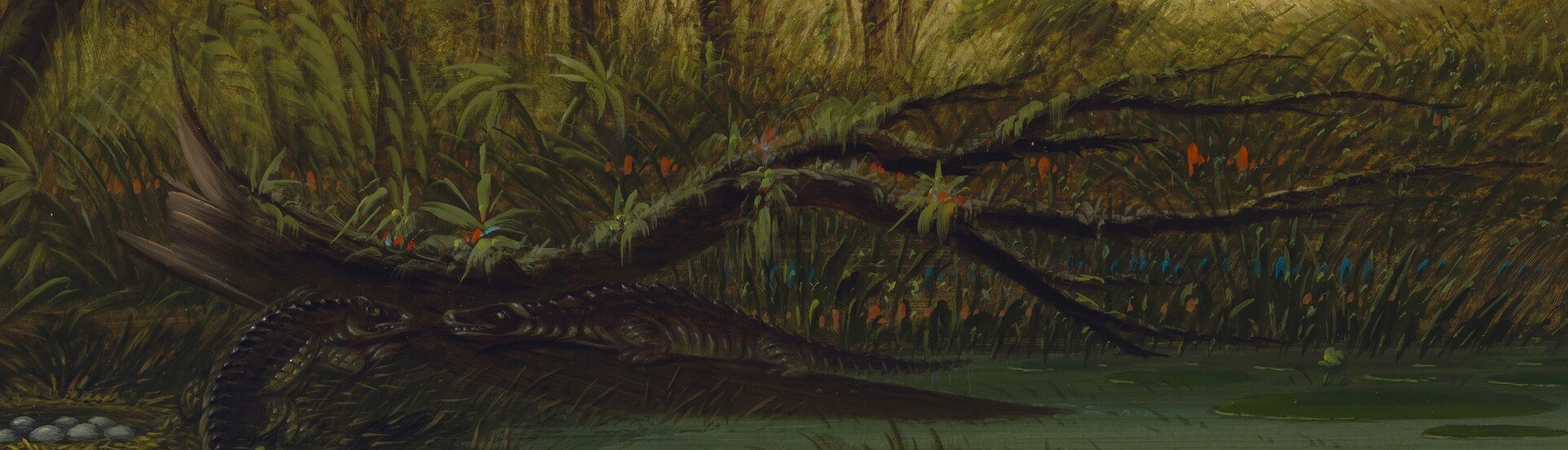 Alligators lie perfectly still, mimicking fallen logs.