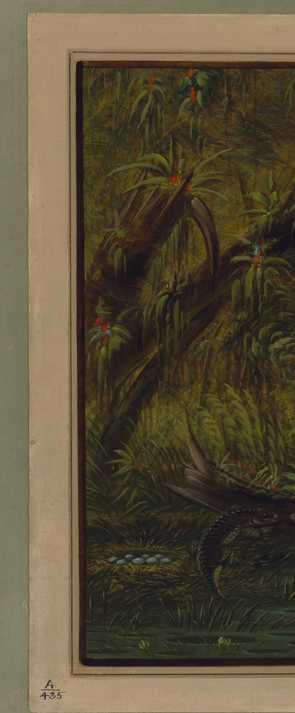 He captures the massive cypress swamps of the Deep South.