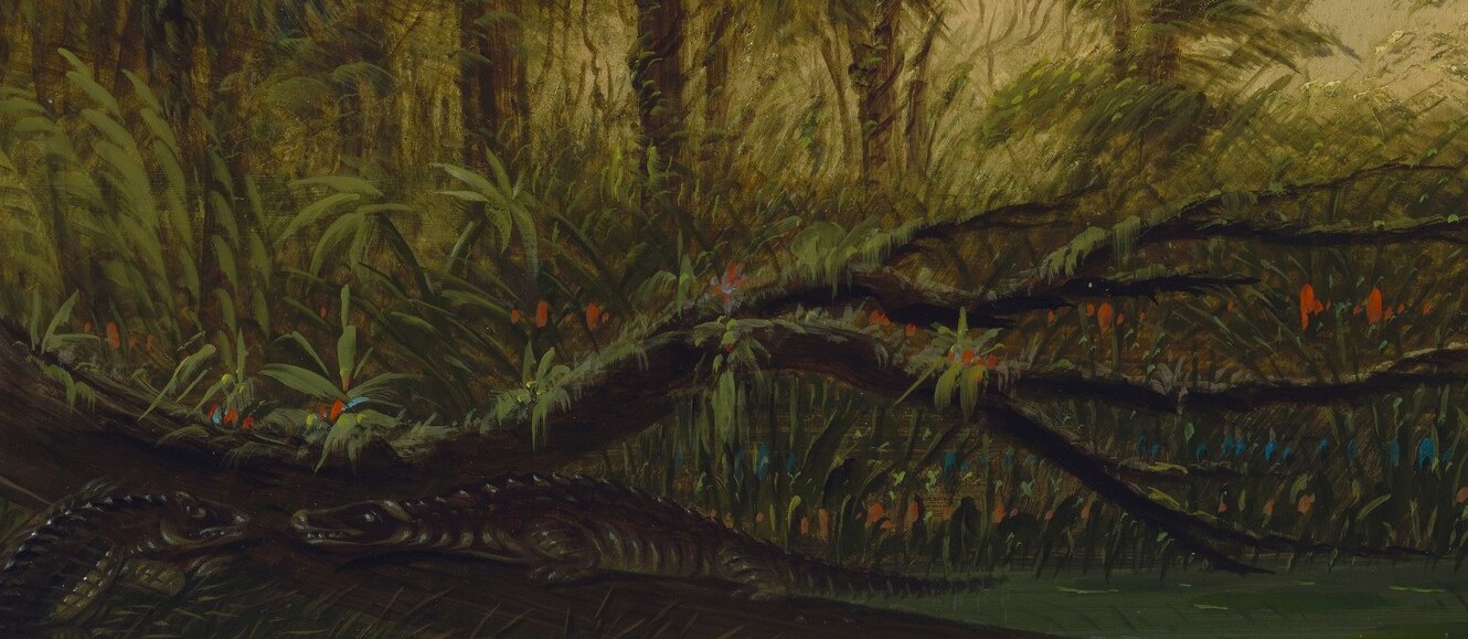 This mound of rotting plants is the titular alligator's nest.