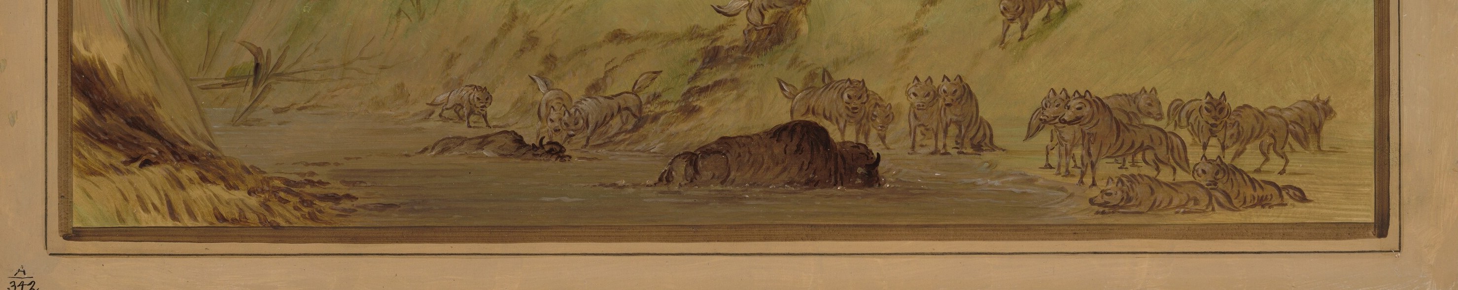 This harsh struggle for survival was part of the untamed West.