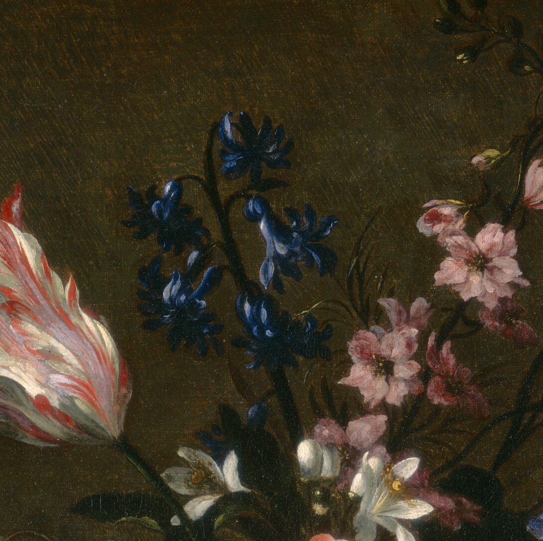 These striped tulips were a rare status symbol.