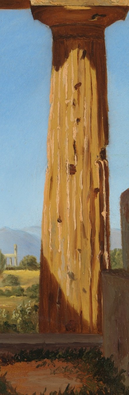 The strong sunlight and shadow create a dramatic, almost sculptural effect, highlighting its fluted form.