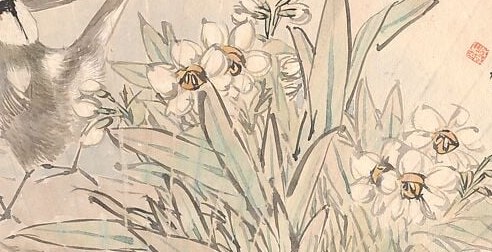 Narcissus flowers, like these, traditionally symbolize good fortune.