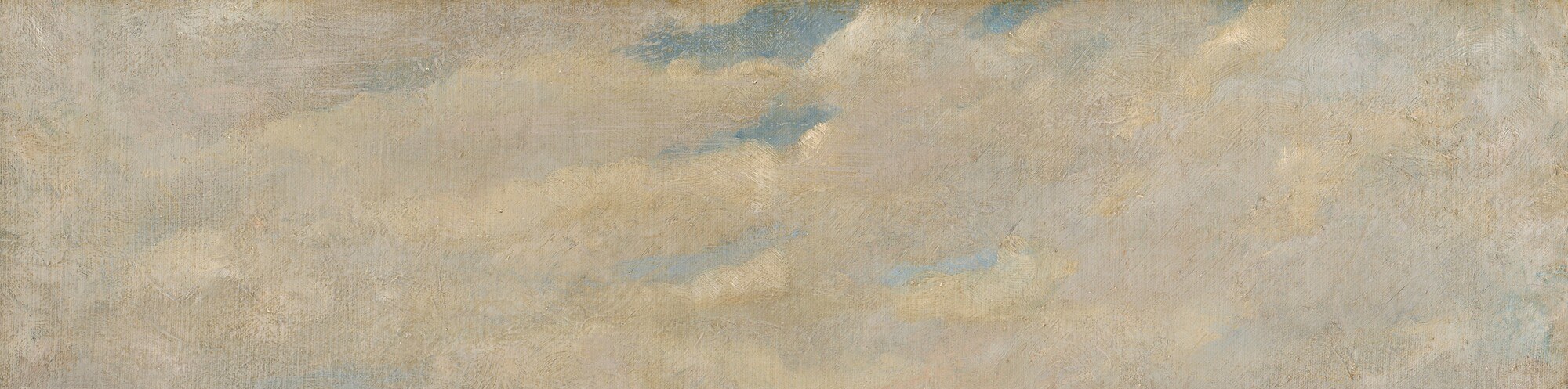 The diffuse, directionless light of a Dutch spring overcast unifies the scene; without strong shadows the colour of the flowers reads at full chroma , the sky is doing optical work.