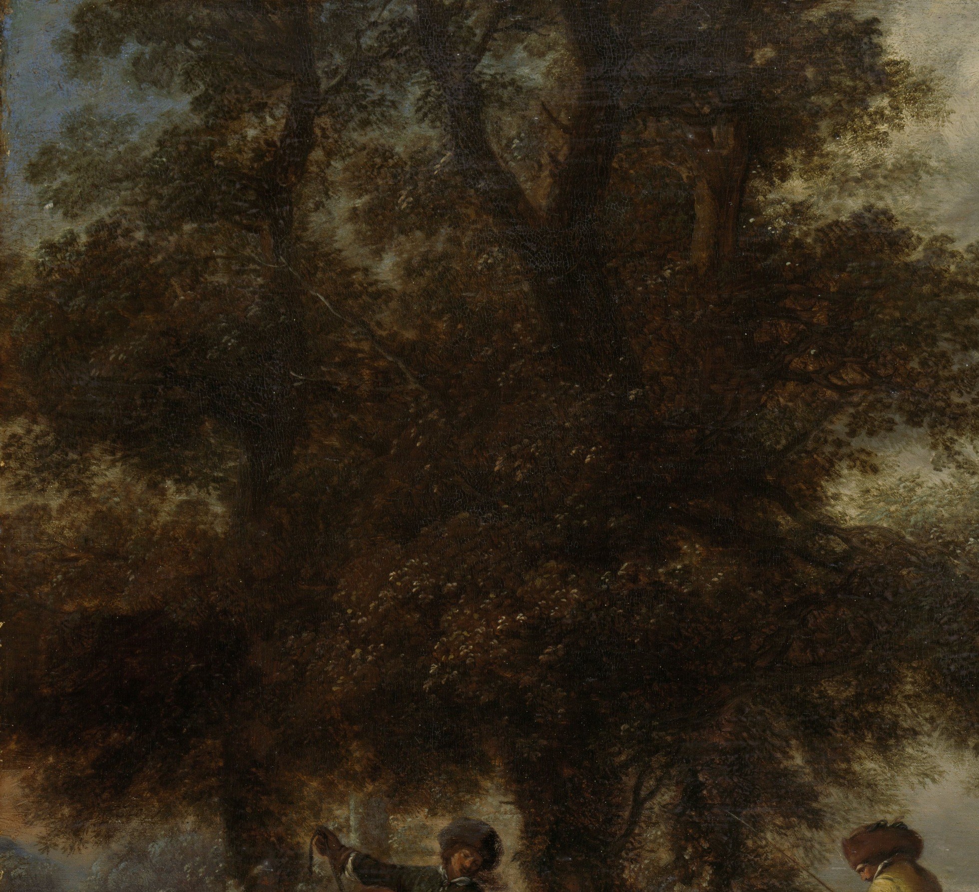The dark, textured bark and leaves create a dramatic, almost claustrophobic atmosphere.