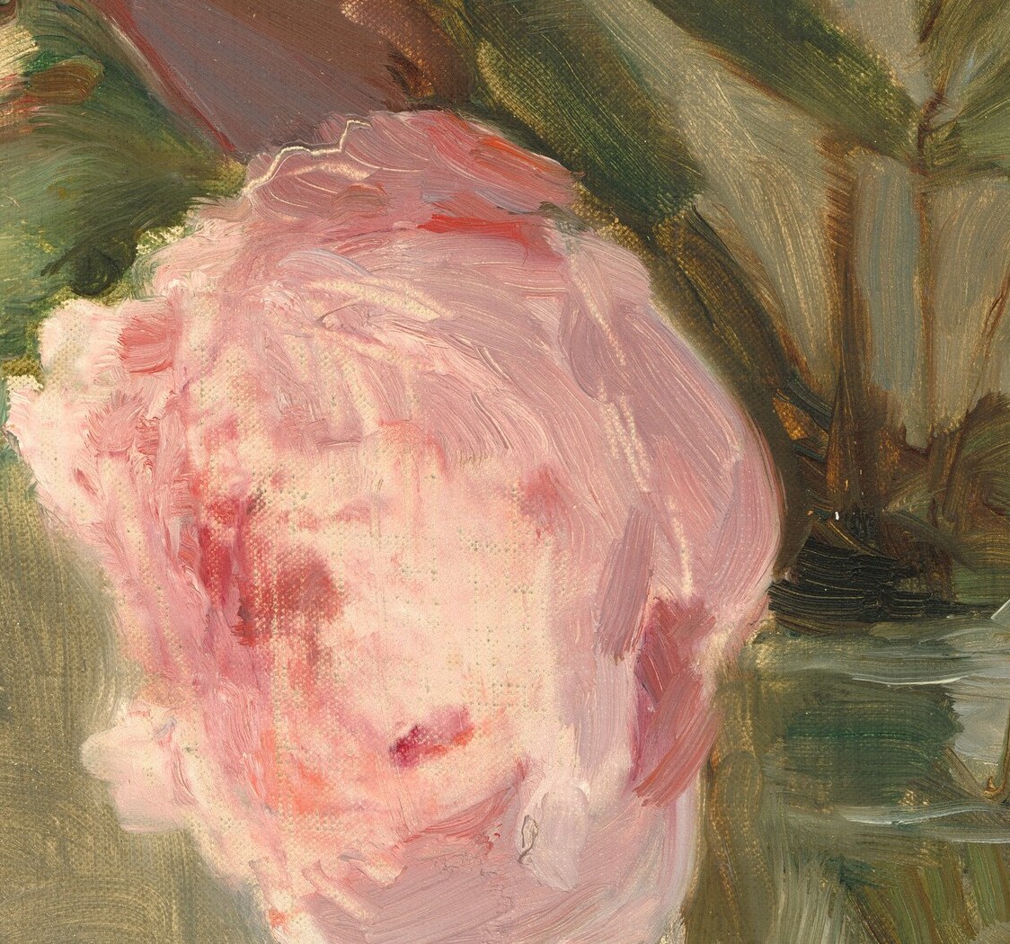A few swift highlights make petals curl in sunlight.