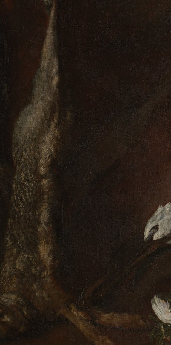 This hare hangs, rendered in precise, quiet detail.