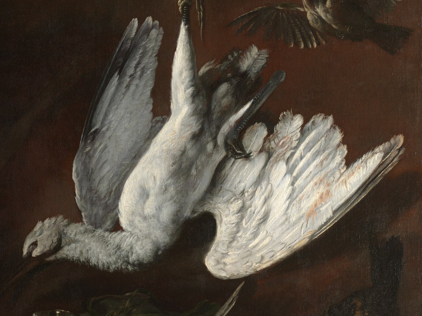 Look at the delicate texture of the spoonbill's feathers.