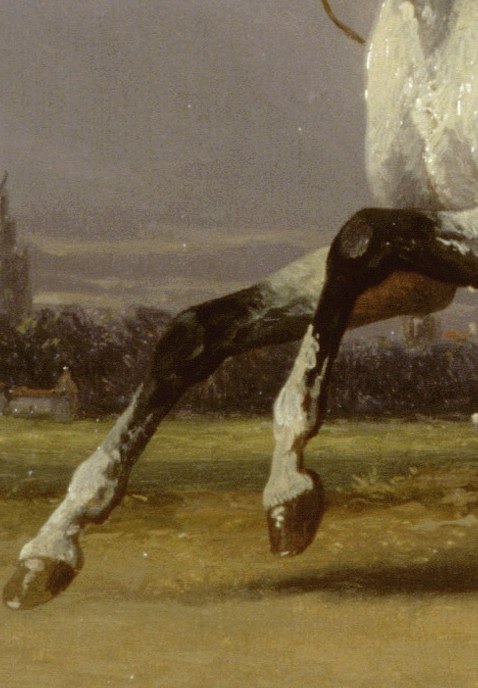 The horse's powerful legs suggest forward motion.