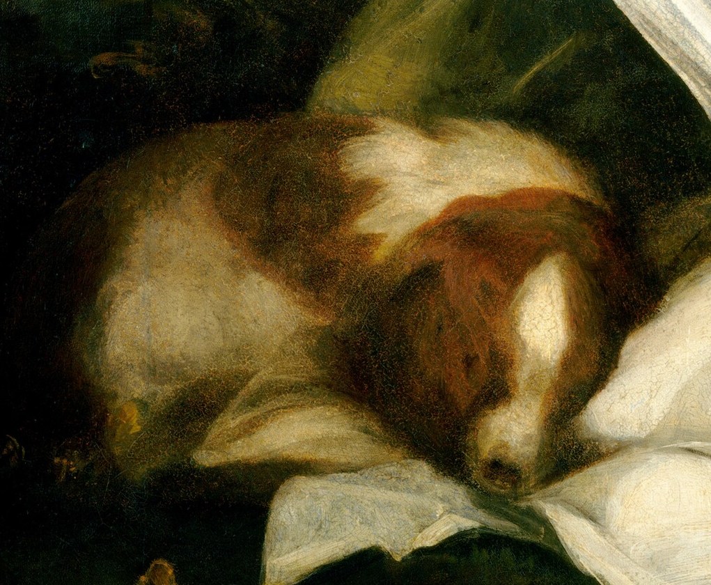 The dog's relaxed posture adds a sense of domestic tranquility and companionship.