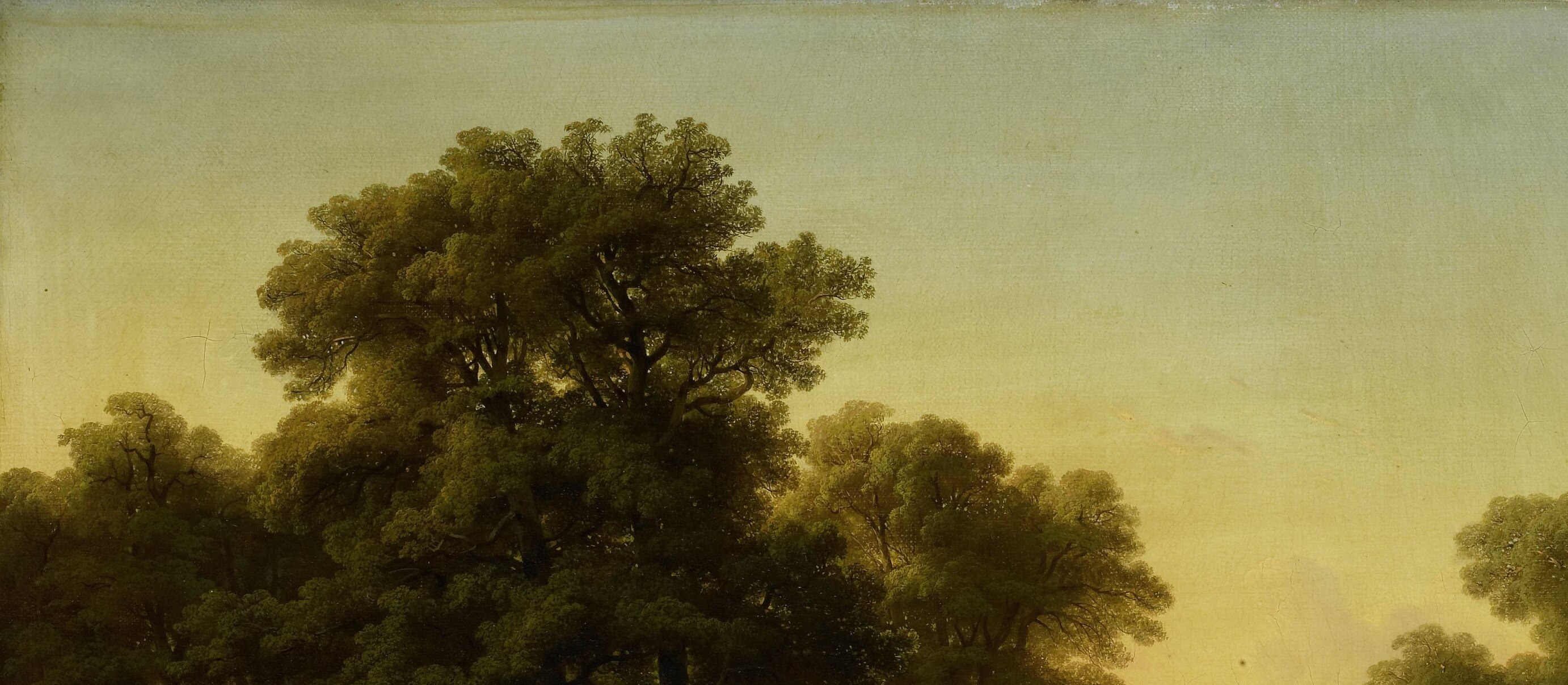 See how the bright sky punches through the dark trees.